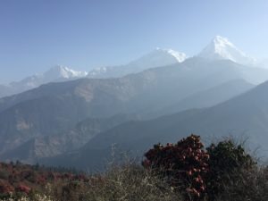 Trek in Nepal
