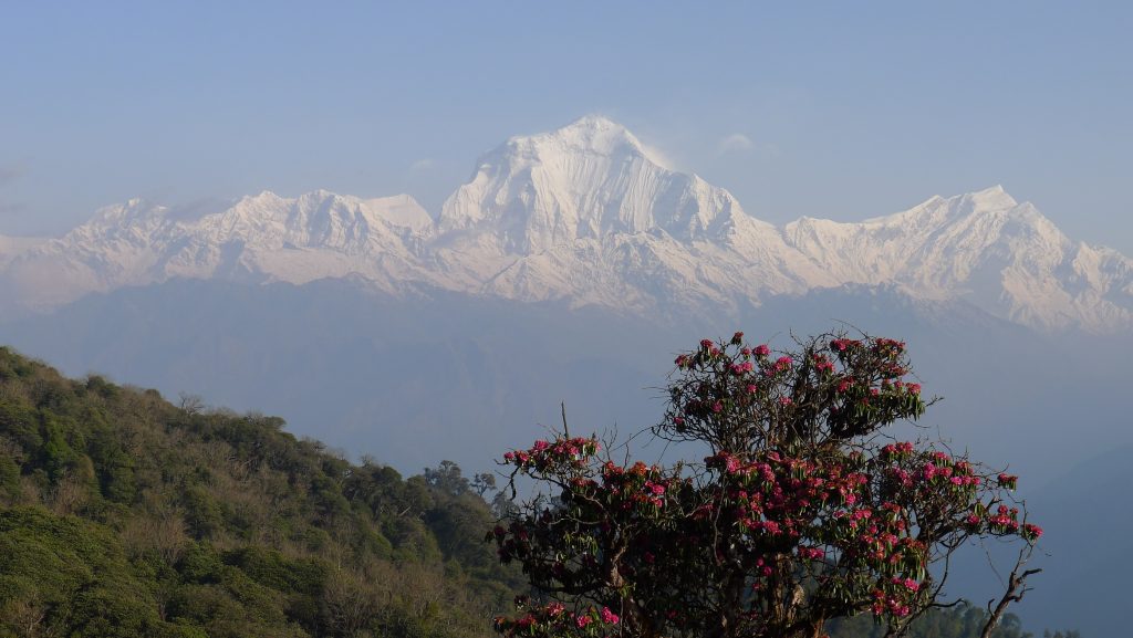 Nepal tourist places